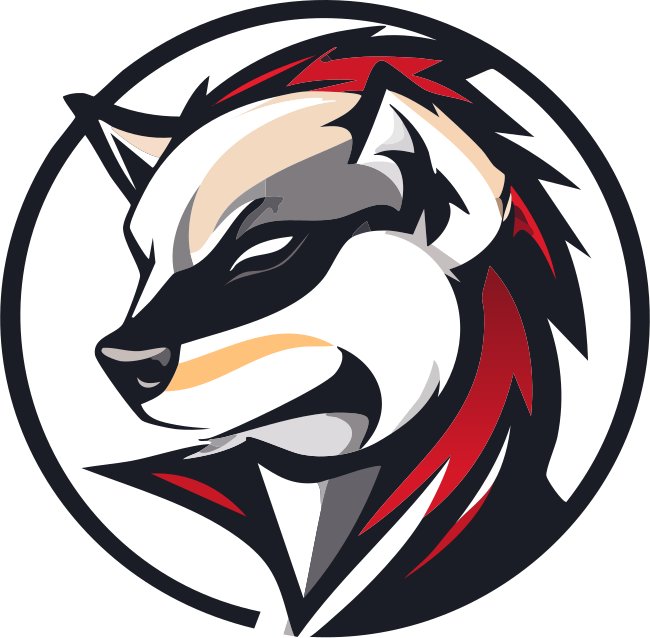 Cool Raccoon Logo Free Download