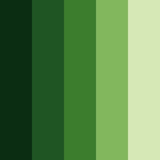 Forest Moss SVG Color Palette